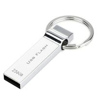 Metal Key Chain USB Flash Drive 1GB ,2GB, 4GB, 8GB
