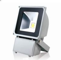 LED Flood Light 10W 