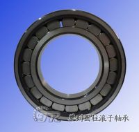 Cylindrical Roller Bearings
