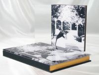 flush mount album and photobook, cavas, design