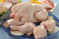 chicken meat