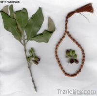 Tasbih of Olive Seeds