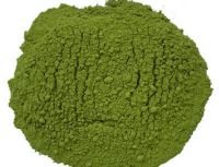 Green Tea Powder