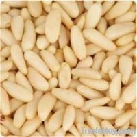 PINE NUT KERNELS