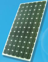 185W Mono solar panel
