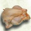 CHICKEN MEAT EXPORT