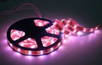 led strip