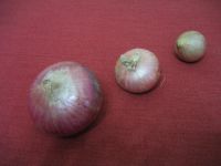 Onions