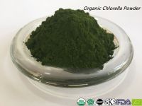 Chlorella powder,chlorella tablet