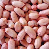 Peanut kernels (Long type)
