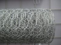 hexagonal wire mesh