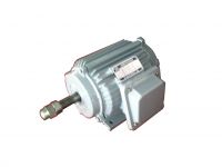 YF series asynchronism motor