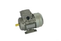 Y2 series induction motor