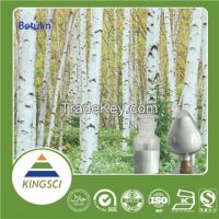 Natural Betulinic Acid Powder White Birch Bark Extract 98% Best Price in food supplement