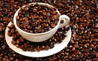Robusta Blend Coffee MIX Arabica 30% + Conilon 70%