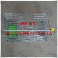 Live Animal Trap Cage Cat Rabbit Squirrel Weasel Rat Skunk Catch Release Humane