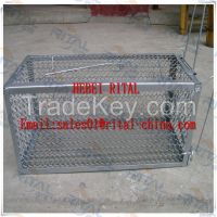 Hot sell for 2015  live mouse trap mice trap
