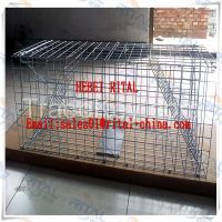 Collapsible Large Live Animal Trap Cage Dog Trap Cage Trap for Foxes Coyote
