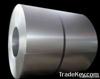 Stainless Steel Coil