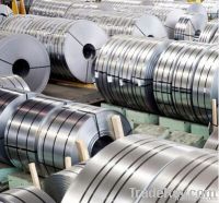 Stainless Steel Strips