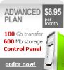 Internet Hosting - Advanced Plan!