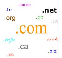 Domain Name Registration