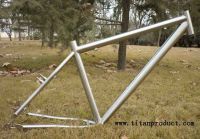 Titanium Bicycle MTB Frame