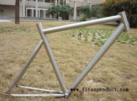 Titanium Bicycle Track Frame