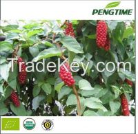 Organic schisandra berry seed