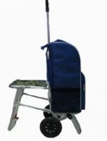 promotional  gift--trolley bag
