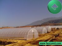 https://es.tradekey.com/product_view/Agricultural-Greenhouse-Poly-Film-Greenhouse-1238982.html