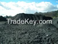 Steam Coal