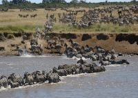 Kenya Tours