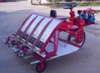 rice/paddy transplanter