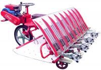 riding rice transplanter