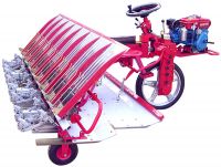 riding paddy transplanter