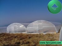plastic greenhouse, greenhouse, greenhouse equipment
