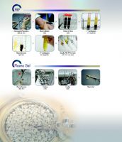 platelet rich pla...