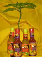 My Dads Hot&Spicy and Scotch Bonnet PepperSauce