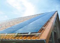 solar panel and solar panel module