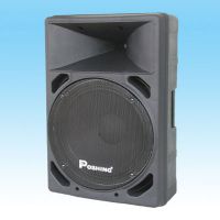 Pa Speaker