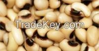 Black Eyed Peas