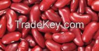 Kidney bean