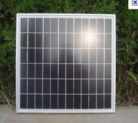 50w poly-crystalline solar module