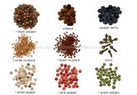 All types of SPICES