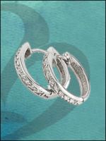 925 sterling silver earring with CZ inlaid