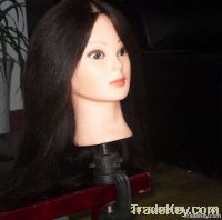 https://www.tradekey.com/product_view/Cheap-Synthetic-Hair-Manikin-Head-mannequin-Head-For-Salon-And-School-1910167.html