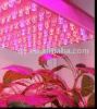 led grow light