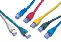 Data Patch Cord