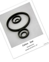 carbon graphite seal